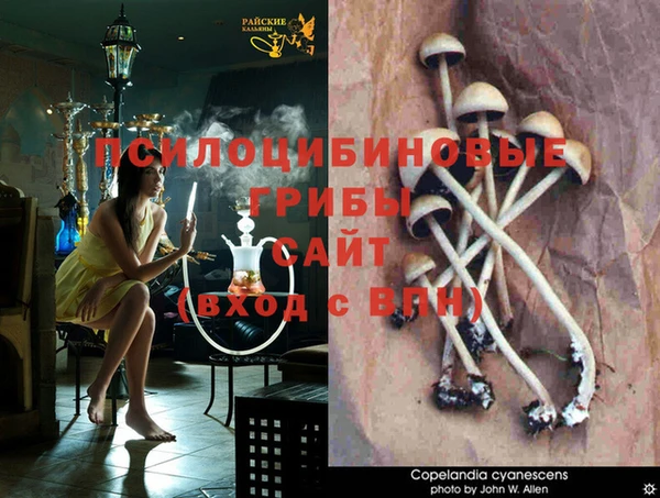 метамфетамин Алзамай