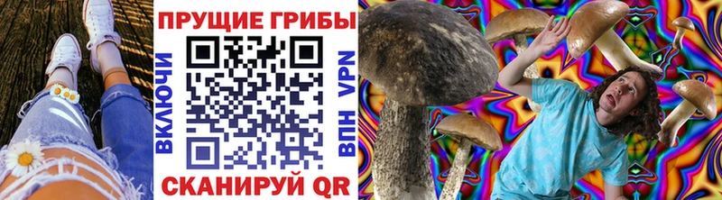 Галлюциногенные грибы Magic Shrooms  даркнет сайт  KRAKEN tor  Суровикино 