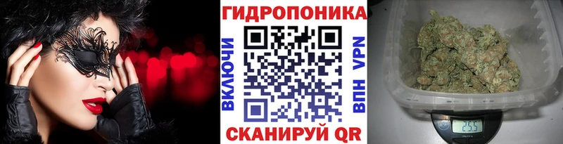 Бошки марихуана планчик  Суровикино 